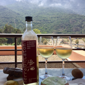 Terra di Catoni wine w mountains